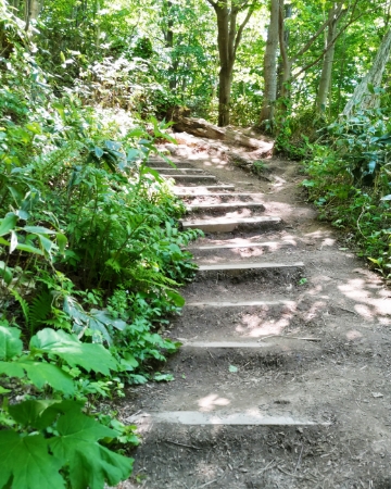 藻岩山麓から、わくわくする世界の旅へ。