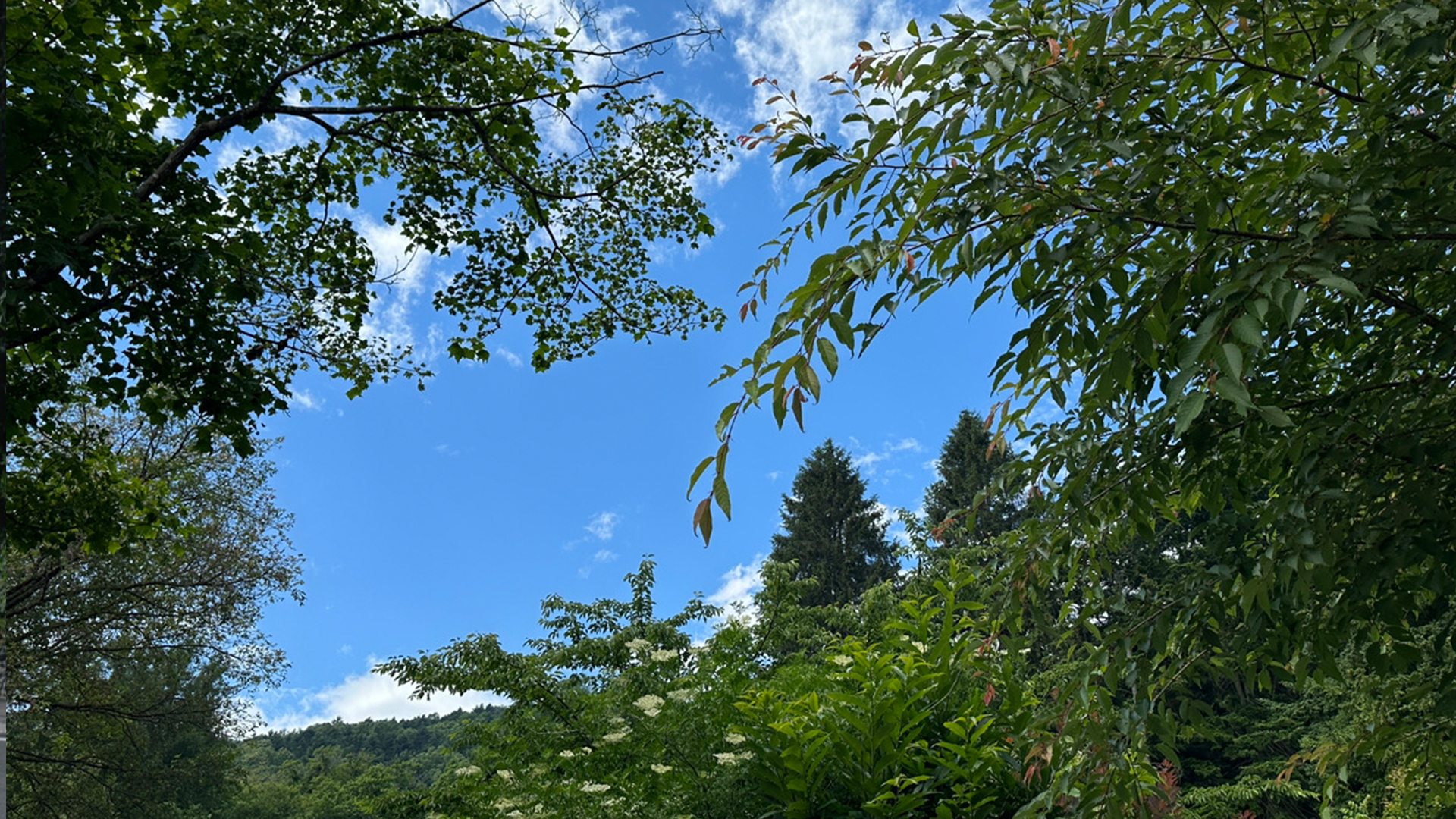 札幌市南区藻岩山のワインバー&カフェ「La nature」