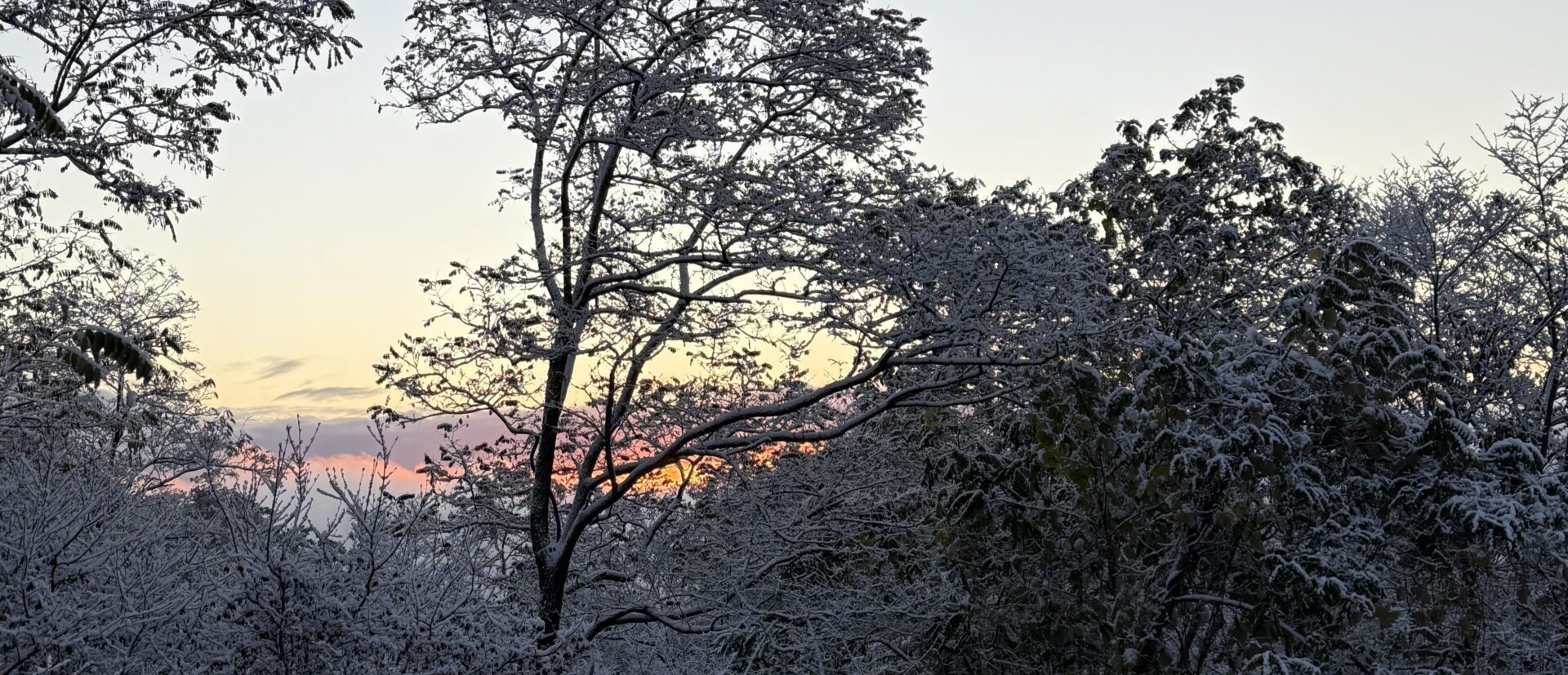 店舗情報・アクセス